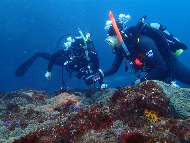 【正会員限定】エコダイバープロジェクト報告