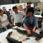 圧巻の深海ザメ料理、捌いて・食べて・わかった『ダイバーの為のお魚料理講座』レポート