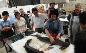 圧巻の深海ザメ料理、捌いて・食べて・わかった『ダイバーの為のお魚料理講座』レポート