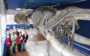 第17回 潜水医学講座 小田原セミナーに参加して