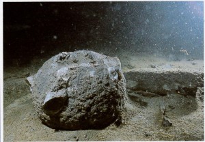 第17回JCUEカフェ 海に沈んだ歴史のかけら ~水中文化遺産カメラマンを迎えて~