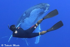 【開催報告】越智隆治トークショー『クジラ、イルカ、タイガーシャークetc.大型海獣の魅力と撮影秘話』