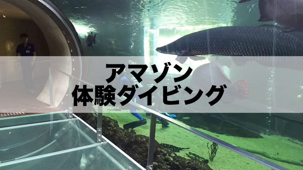 【JCUEメンバーズコラム No.2】矢北浩司 : アマゾン体験ダイビング