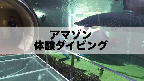 【JCUEメンバーズコラム No.2】矢北浩司 : アマゾン体験ダイビング