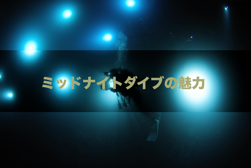 【JCUEフォーラム2017】ライトトラップ系ダイビングの面白さを探る  〜ガイドとして語る「ミッドナイトダイブ（MND）の魅力」〜