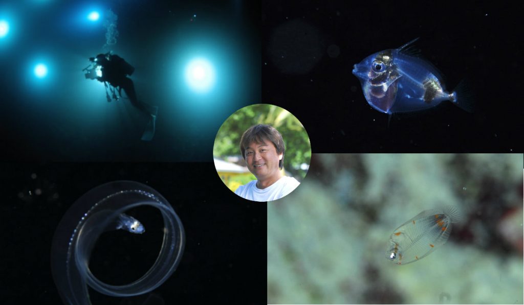 【JCUEフォーラム2017】ライトトラップ系ダイビングの面白さを探る 〜ガイドとして語る「ミッドナイトダイブ（MND）の魅力」〜 簡易レポート