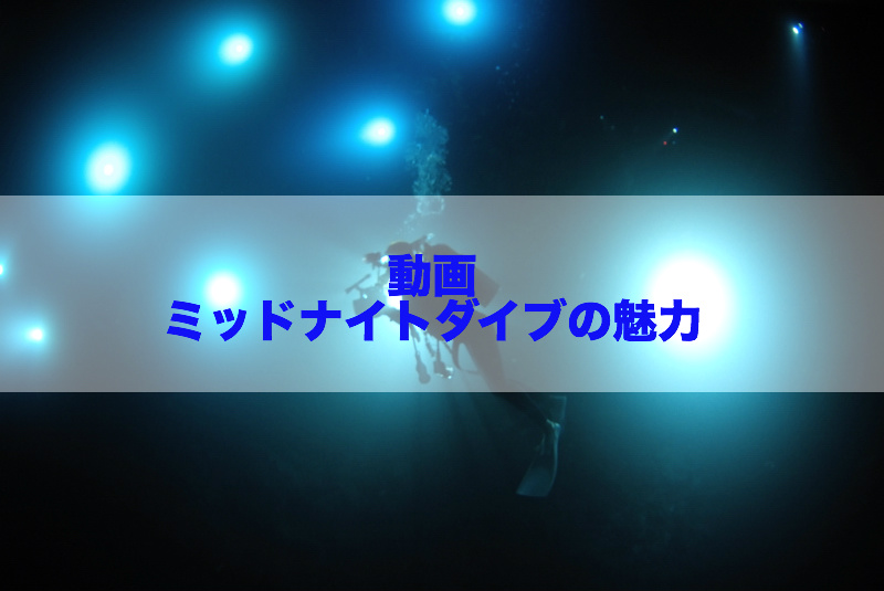【会員限定動画】ミッドナイトダイブの魅力