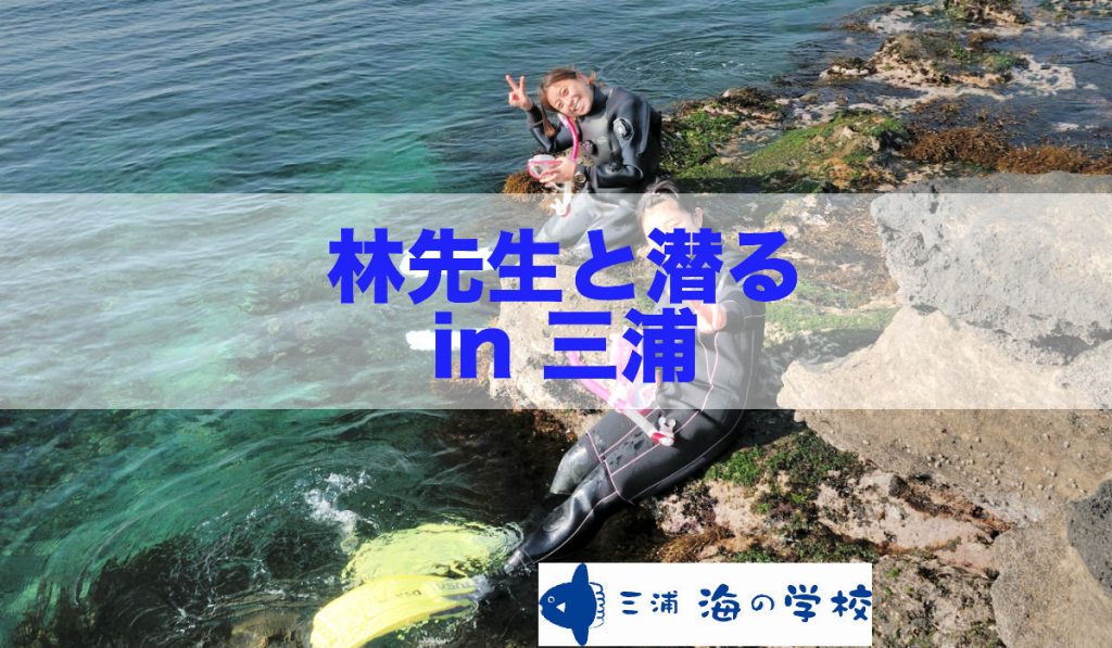 【告知記事】2017年度の林先生と潜るは神奈川県三浦にて開催致します