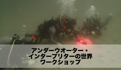 「アンダーウォーター・インタープリターの世界」ワークショップを開催致します