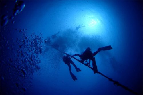 【資料館】ダイビング 減圧症講座 その1「浮上を考える」 唐澤 嘉昭