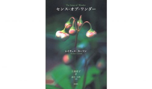 【JCUEの本棚】矢北 浩司さんが薦めるこの一冊『センス・オブ・ワンダー』著者 : レイチェル・カーソン