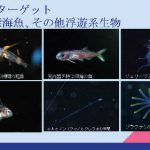 【詳細レポート】JCUEフォーラム2017 ライトトラップ系ダイビングの面白さを探る  〜ガイドとして語る「ミッドナイトダイブ(MND)の魅力」〜