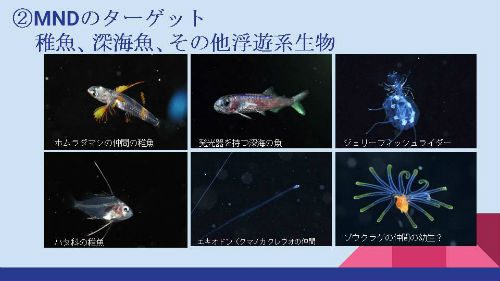 【詳細レポート】JCUEフォーラム2017 ライトトラップ系ダイビングの面白さを探る  〜ガイドとして語る「ミッドナイトダイブ（MND）の魅力」〜