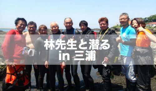 【開催報告】林先生と潜る in 三浦
