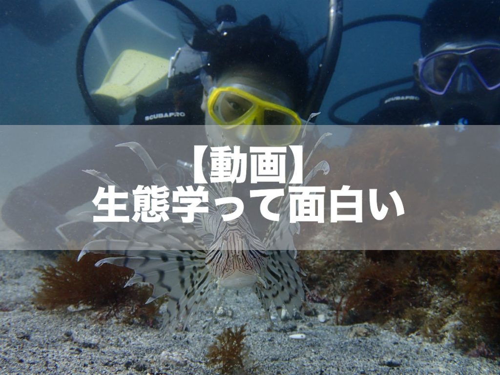 【動画】「生態学ってオモシロイ！」