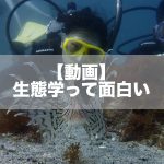 【動画】「生態学ってオモシロイ!」