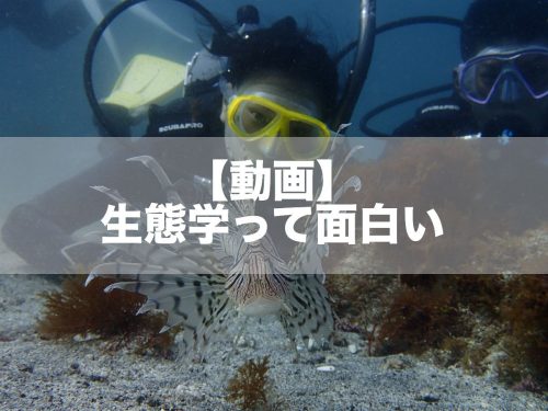 【動画】「生態学ってオモシロイ！」