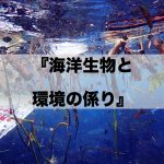 【セミナー】『海洋生物と環境の係わり』