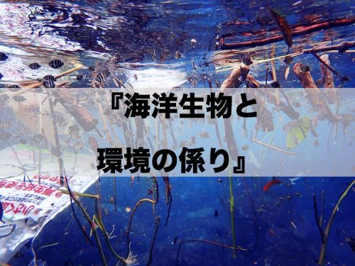 【セミナー】『海洋生物と環境の係わり』