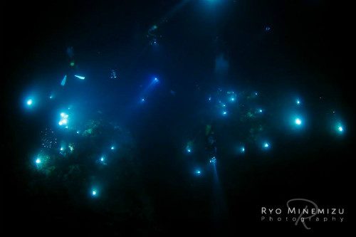 【JCUEセミナーNo.36】 水中写真家 峯水亮が語るプランクトンの世界 ~生きる知恵と逞しさ〜