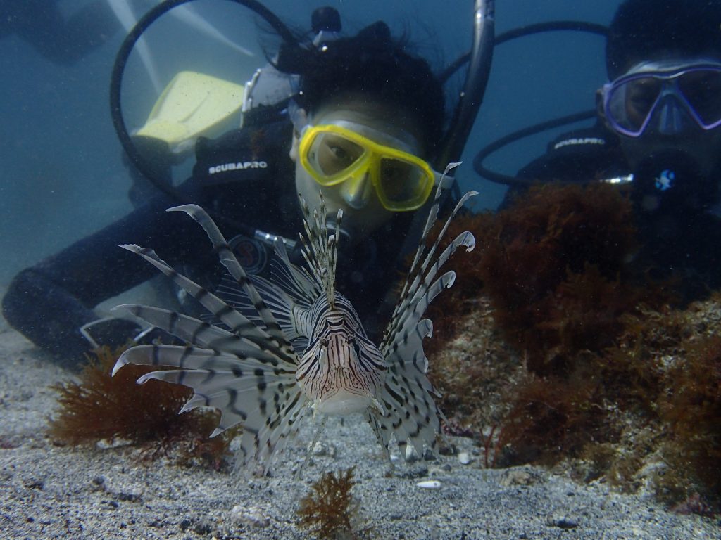 第2回　U.W インタープリター養成講座【実技セミナー】開催のご案内