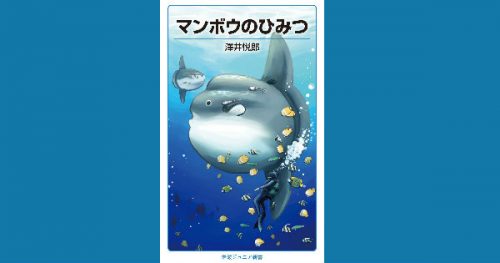 【JCUEの本棚】鶴岡 一郎さんが薦めるこの一冊『マンボウのひみつ』著者 : 澤井 悦郎