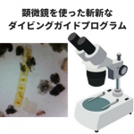 「顕微鏡を使った斬新なダイビングガイドプログラム」ワークショップ