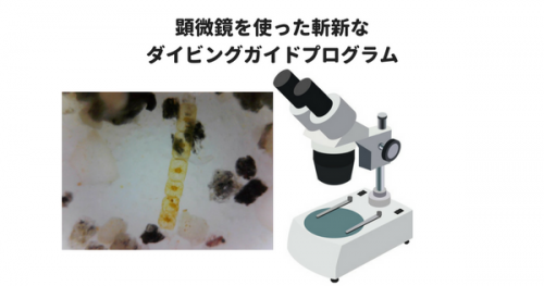 「顕微鏡を使った斬新なダイビングガイドプログラム」ワークショップ