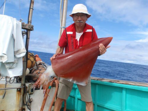 【開催報告】JCUEセミナー2018第2部『食うか食われるか！? どうやって餌を捕まえるか? どうしたら捕まらないか！』