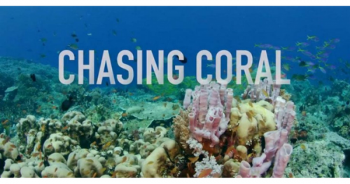 【国際サンゴ礁年2018】チェイシングコーラル無料上映会