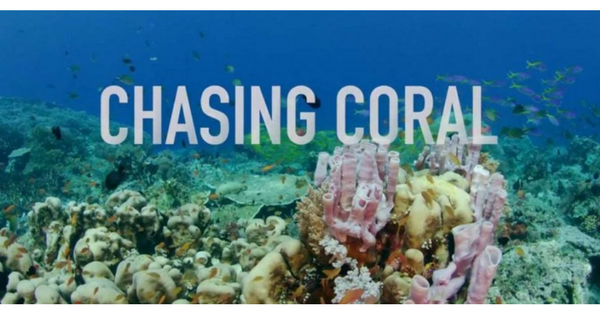 【国際サンゴ礁年2018】チェイシングコーラル無料上映会