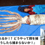 『食うか食われるか!?  どうやって餌を捕まえるか?  どうしたら捕まらないか!』