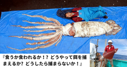『食うか食われるか!?  どうやって餌を捕まえるか?  どうしたら捕まらないか!』