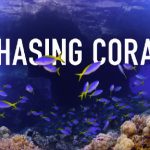 【開催報告】国際サンゴ礁年2018「CHASING CORAL~消えゆくサンゴ礁~」上映会