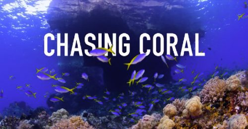 【開催報告】国際サンゴ礁年2018「CHASING CORAL~消えゆくサンゴ礁~」上映会