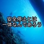 【資料館】ダイビング 減圧症講座 その2「安全停止とは一体なんであろう」 唐澤 嘉昭