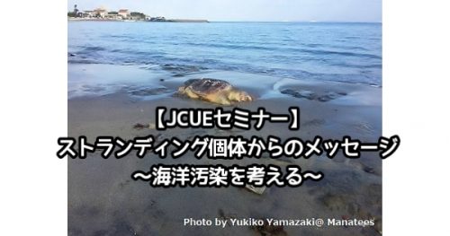 【JCUEセミナー】ストランディング個体からのメッセージ ~海洋汚染を考える~