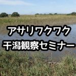 JCUEアンダーウォーターインタープリター主催 「アサリワクワク干潟観察セミナー」