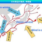 【開催報告】JCUEフォーラム2019『海に流され続けるプラスチックの現状と問題』