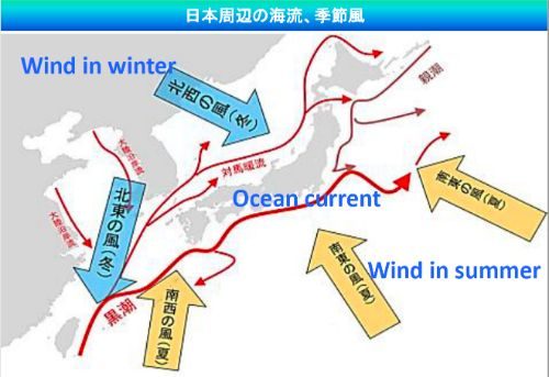 【開催報告】JCUEフォーラム2019『海に流され続けるプラスチックの現状と問題』