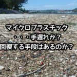 【JCUEセミナー】「マイクロプラスチック・・・手遅れか? 回復する手段はあるのか?」