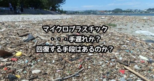 【JCUEセミナー】「マイクロプラスチック・・・手遅れか? 回復する手段はあるのか?」