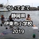 静岡県伊東市内小学校における「2019年度 ういてまて講習とスノーケリング体験」開催のお知らせ