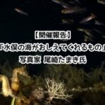 【開催報告】「水俣の海が教えてくれるもの」写真家 尾崎たまき氏