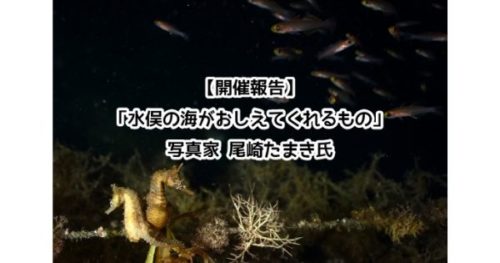 開催報告】「水俣の海が教えてくれるもの」写真家 尾崎たまき氏