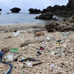 【開催報告】JCUEオンライン 海洋プラスチック汚染の現状