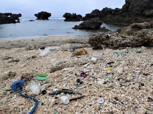 【開催報告】JCUEオンライン 海洋プラスチック汚染の現状