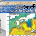 【JCUE協賛】Online Diving EXPO 2020 『海の天気予報と変わりつつある海』