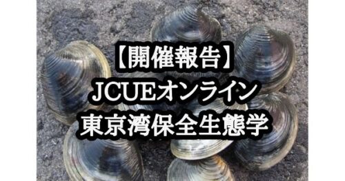 【開催報告】JCUEオンライン 東京湾保全生態学