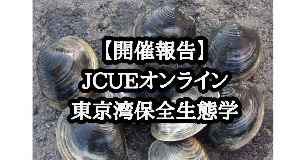 【開催報告】JCUEオンライン 東京湾保全生態学